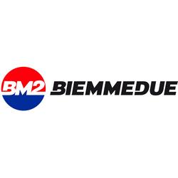Логотип biemmedue
