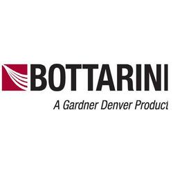 Логотип bottarini