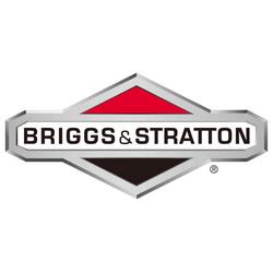 Логотип briggs-stratton