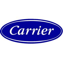 Логотип carrier