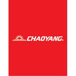 Логотип chaoyang