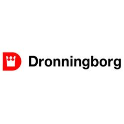 Логотип dronningborg