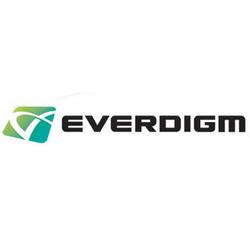 Логотип everdigm