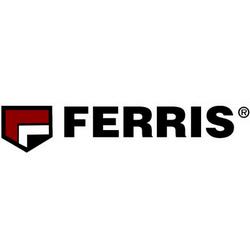 Логотип ferris