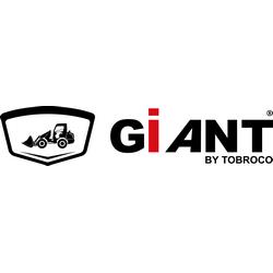 Логотип giant