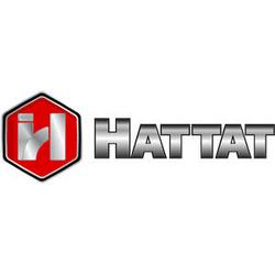 Логотип hattat