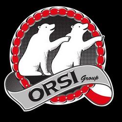 Логотип orsi