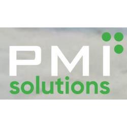 Логотип pmi