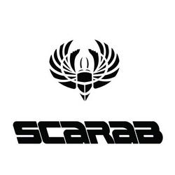 Логотип scarab