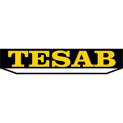 Логотип tesab