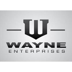 Логотип wayne