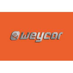 Логотип weycor