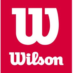 Логотип wilson