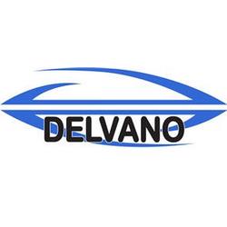 Логотип delvano