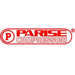 Логотип parise