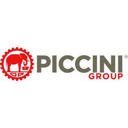 Логотип piccini
